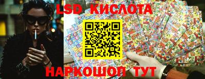 spice Краснокаменск