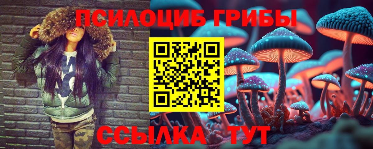Псилоцибиновые грибы ЛСД  Вход с VPN  Зеленокумск 